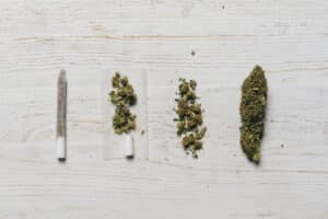 Evolution of weed