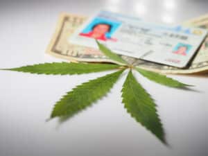 Michigan driver's license and cannabis marijuana